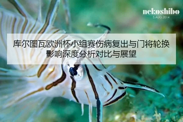 库尔图瓦欧洲杯小组赛伤病复出与门将轮换影响深度分析对比与展望